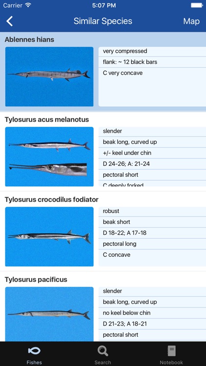 Fishes: East Pacific