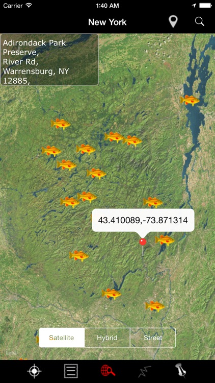 New York: Lakes & Fishes screenshot-3