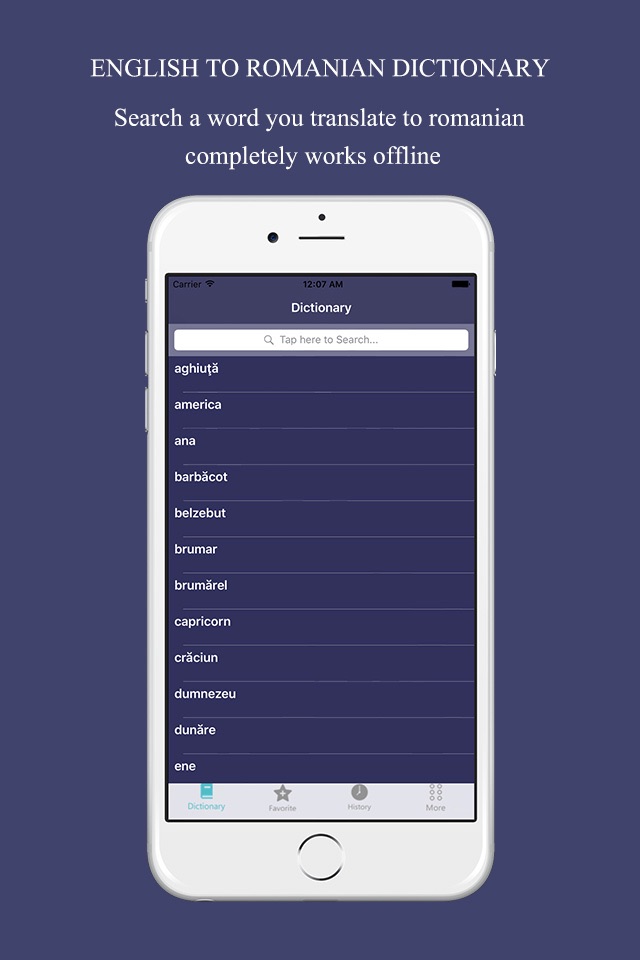 English to Romanian Dictionary: Free & Offline screenshot 2