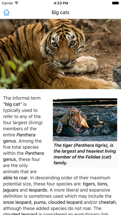 CHI Encyclopedia of Cats screenshot-3