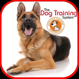 Dog Training for beginners