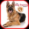 Here you will find the best guide of humane dog training information