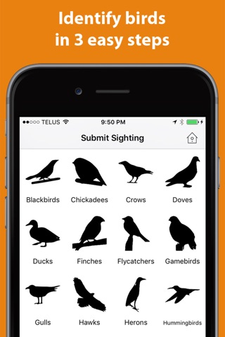 Birder - Log birds you see screenshot 4