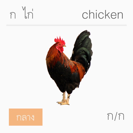 Thai Alphabet Chart Icon