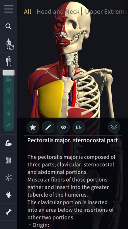 teamLabBody-3D Motion Human Anatomy-