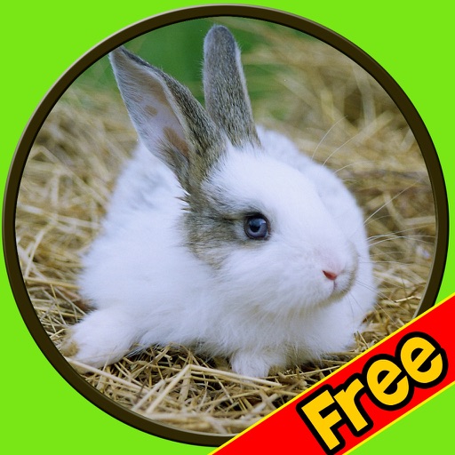 amazing rabbits for kids - free icon