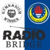 Radyo Bridge