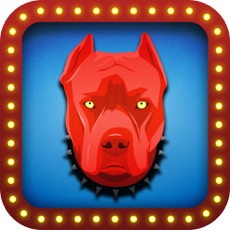 Activities of Red Dog Poker