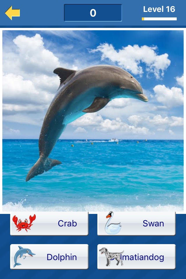 Guess the animal (free animal pictures game) screenshot 3