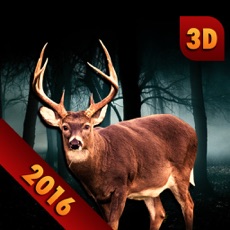 Activities of Animal (Deer, Lion, Bear) Hunting 3D : Sniper Shooting Game