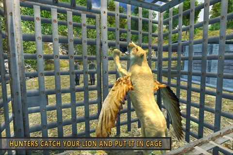 Flying Lion - Wild Simulator screenshot 2