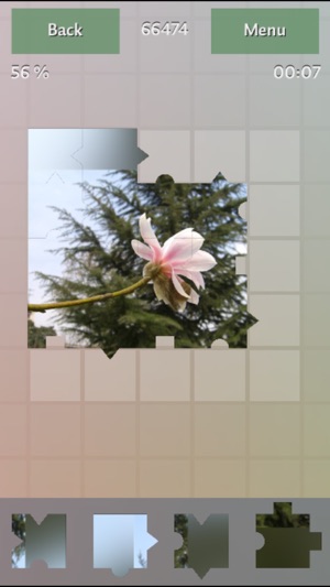 Flowers Colors Puzzles(圖3)-速報App