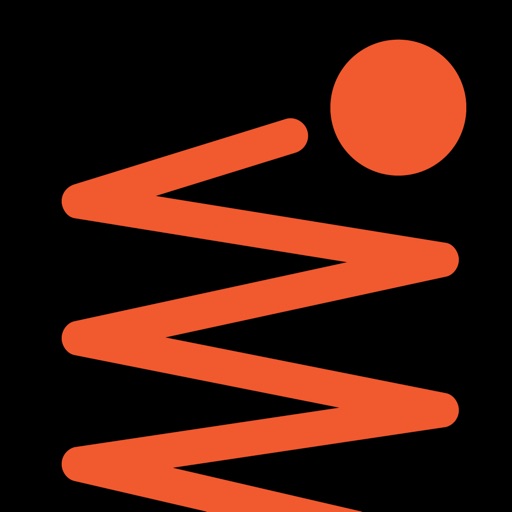 Zigzag Orange Icon