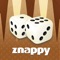 The multiplayer  Backgammon Game, developed by http://www