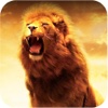 2016 Big Safari Hunting Challenge Pro : Lion Attacking Simulator