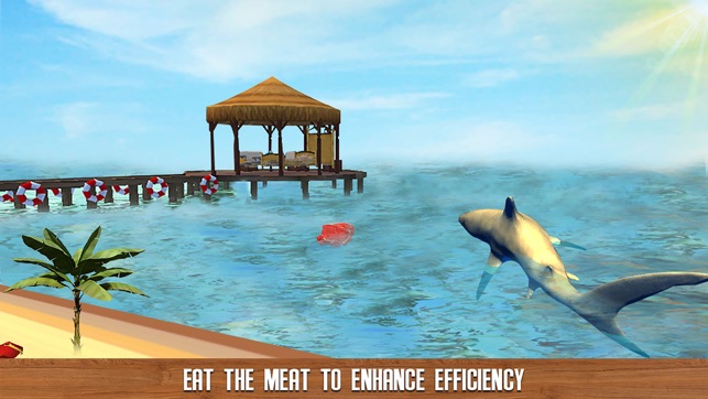 Furious Shark Revolution : Play this Shark Life Simulator to(圖2)-速報App