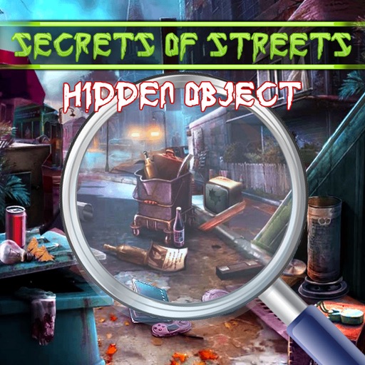 Secrete Of Street icon