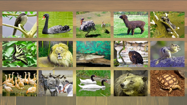 jigsaw puzzle kids what is an animal screenshot-4