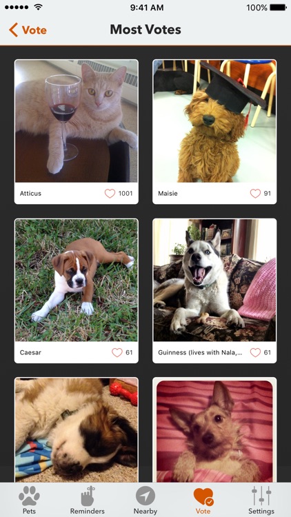 PetFetch screenshot-4
