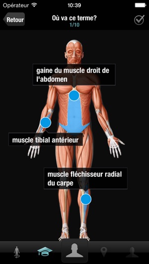 Corps humain virtuel