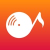 SwiSound - Music Player & Analyzer to Visualize Music Streaming Service