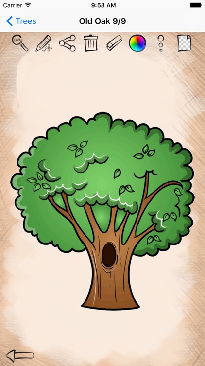 Learning to Draw Forest Trees screenshot-4