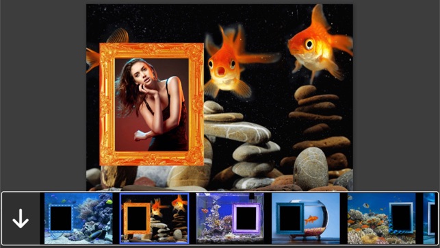 Aquarium Photo Frame - Amazing Picture F