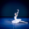 Classical Ballet Glossary and Cheatsheet: Study Guide and Courses