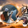 Tiger Photo Frame - Great and Fantastic Frames for your photo
