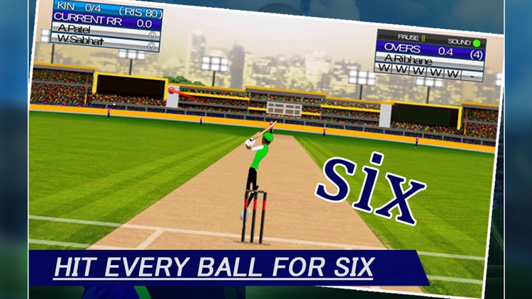 IPL Cricket Craze 3D