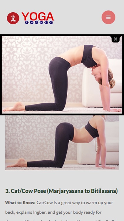 Yoga for Beginners Step by Step screenshot-4