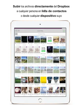 Captura de Pantalla 2 Transferir archivos, Enviar archivos grandes de videos, Compartir rápido y seguro por yooSEND fotos desde y hacia cualquier ordenador iphone