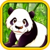 Best Wild Panda Craze Roulette Games in Vegas Casino Free