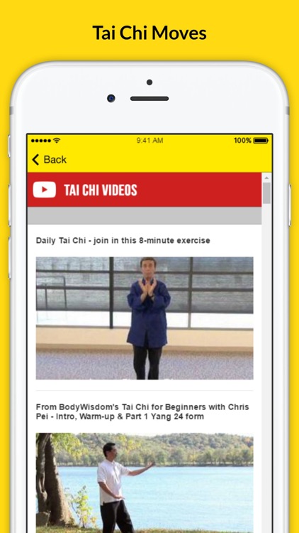 Power of Tai Chi - Mastering the Force
