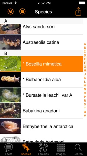 Nudibranch ID Western Atlantic(圖3)-速報App