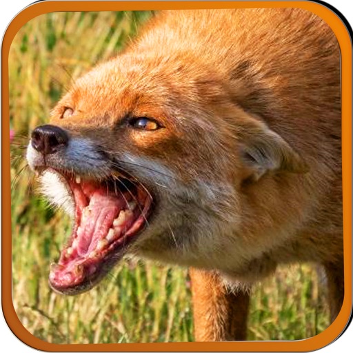 2016 Wolf Attack Rescue : Revenge Of Wild Stray Beast and Hunting Adventure icon