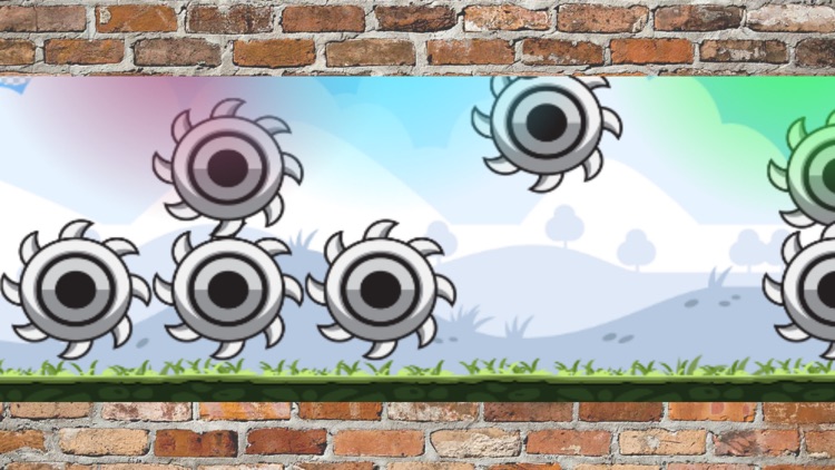 The flappy birds (New version)