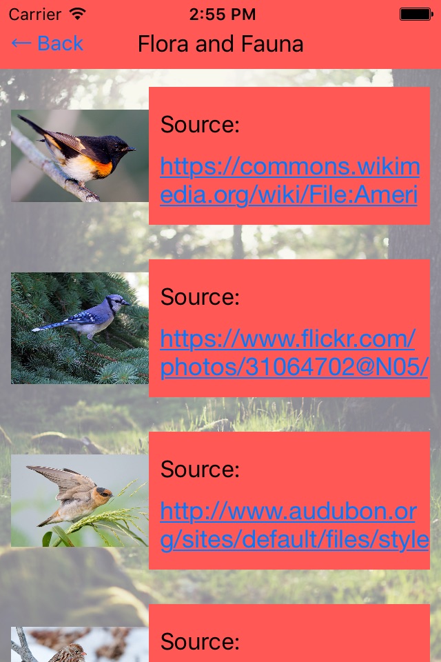 Flora and Fauna screenshot 2