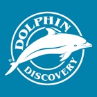 Dolphin Discovery App