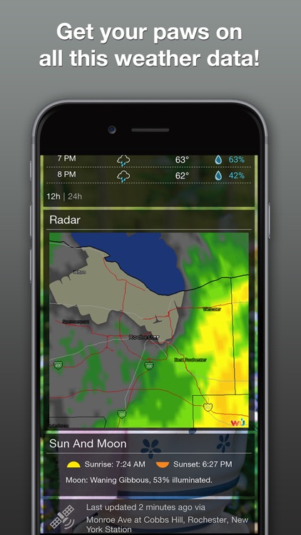 Grumpy Cat Weather screenshot-4