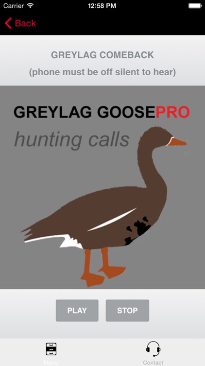 REAL Greylag Goose Hunting Calls - Greylag Goose CALLS & Greylag Goose Sounds! (ad free) BLUETOOTH COMPATIBLE