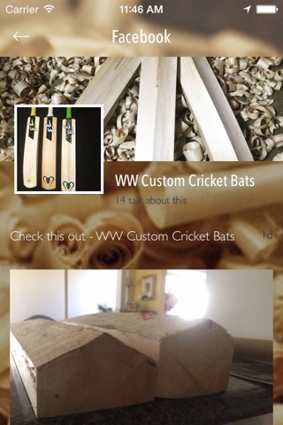 WW Cricket screenshot 2