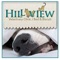 For more than five decades, the caring professionals at Hillview Veterinary Clinic have been serving the people and pets of Reynoldsburg & Pickerington, OH, providing first-class patient care and exceptional client service