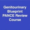 Genitourinary Blueprint PANCE PANRE Review Course (Lecture  & Questions)