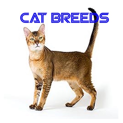 Complete Cat Breeds icon