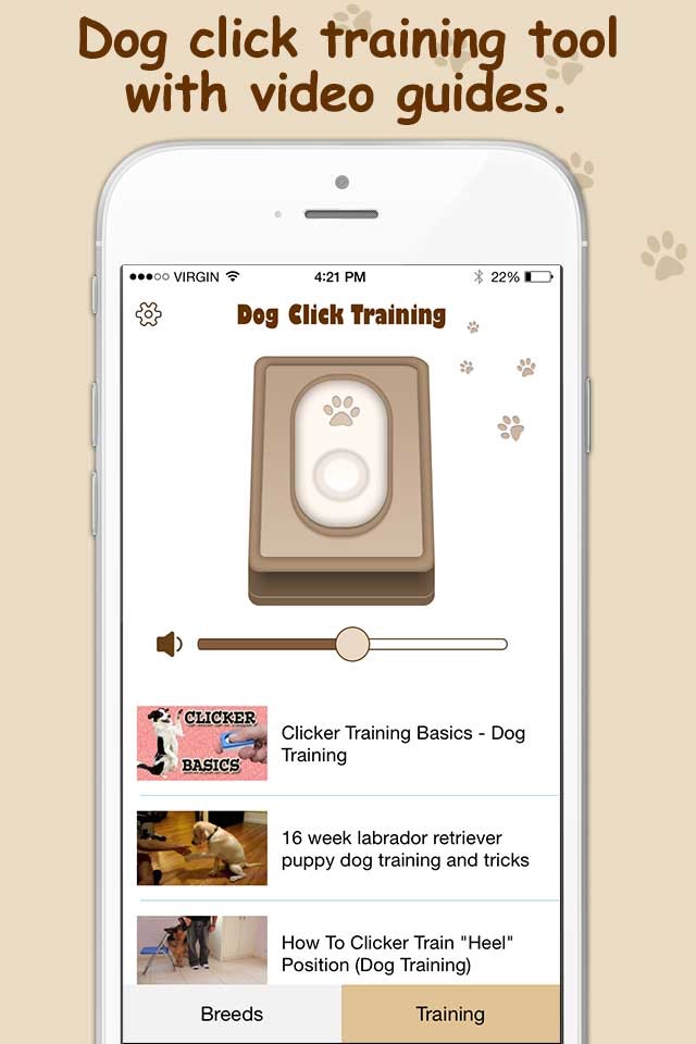 Labrador Retriever Training & Breeding App screenshot 2