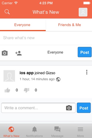 Gizso screenshot 2