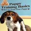 Puppy Training Basics