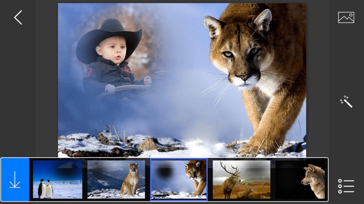 Wildlife Photo Frames - make eligant and awesome photo using new photo frames