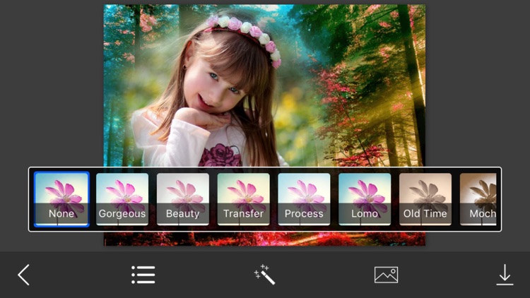 Forest Photo Frame - Picture Frames + Photo Effects